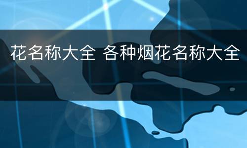 花名称大全 各种烟花名称大全