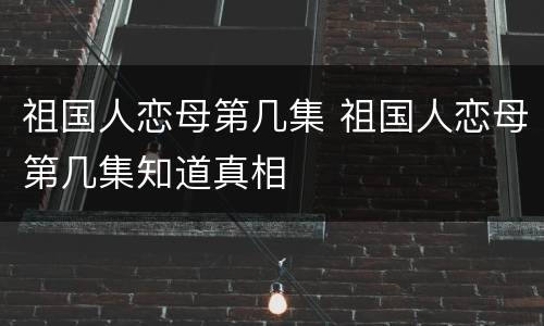 祖国人恋母第几集 祖国人恋母第几集知道真相