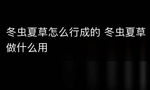 冬虫夏草怎么行成的 冬虫夏草做什么用