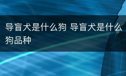 导盲犬是什么狗 导盲犬是什么狗品种