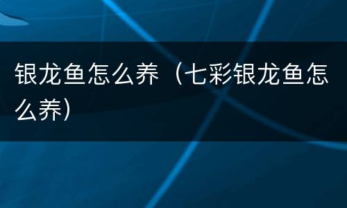 银龙鱼怎么养（七彩银龙鱼怎么养）