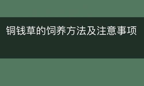 铜钱草的饲养方法及注意事项
