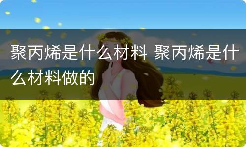 聚丙烯是什么材料 聚丙烯是什么材料做的