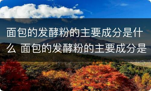 面包的发酵粉的主要成分是什么 面包的发酵粉的主要成分是什么意思