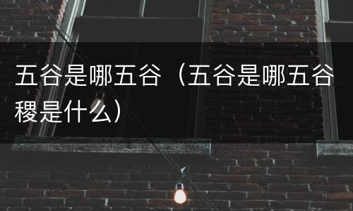 五谷是哪五谷（五谷是哪五谷稷是什么）