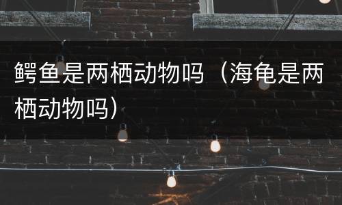 鳄鱼是两栖动物吗（海龟是两栖动物吗）