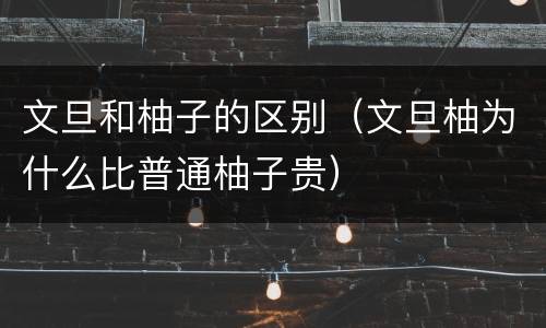 文旦和柚子的区别（文旦柚为什么比普通柚子贵）