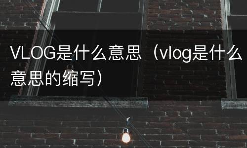 VLOG是什么意思（vlog是什么意思的缩写）