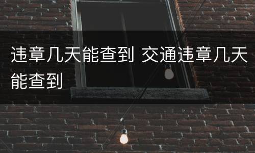 违章几天能查到 交通违章几天能查到