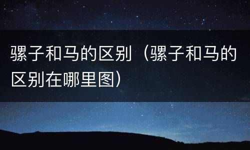 骡子和马的区别（骡子和马的区别在哪里图）