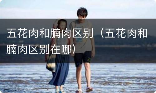 五花肉和腩肉区别（五花肉和腩肉区别在哪）