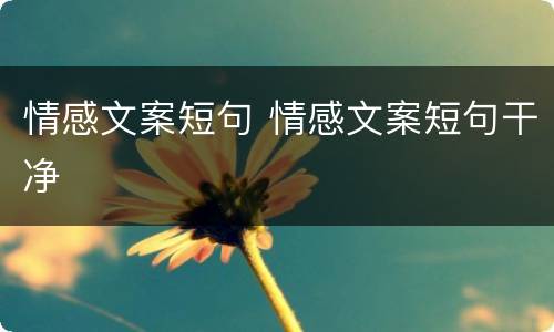 情感文案短句 情感文案短句干净
