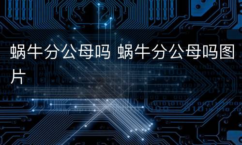 蜗牛分公母吗 蜗牛分公母吗图片