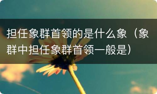 担任象群首领的是什么象（象群中担任象群首领一般是）