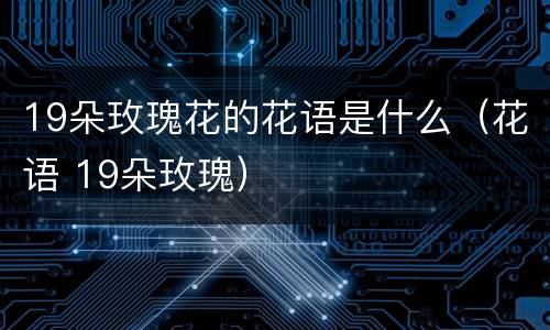 19朵玫瑰花的花语是什么（花语 19朵玫瑰）