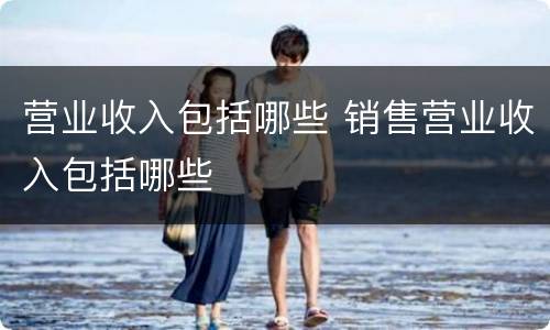 营业收入包括哪些 销售营业收入包括哪些