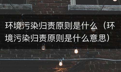 环境污染归责原则是什么（环境污染归责原则是什么意思）
