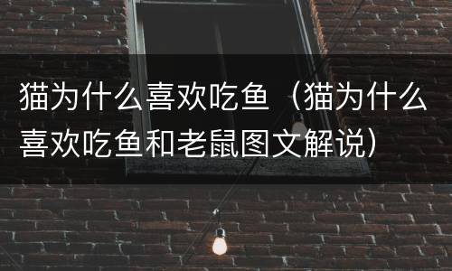 猫为什么喜欢吃鱼（猫为什么喜欢吃鱼和老鼠图文解说）