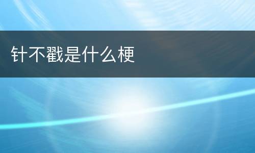 针不戳是什么梗