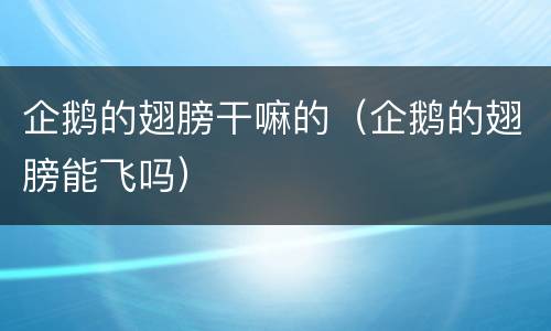 企鹅的翅膀干嘛的（企鹅的翅膀能飞吗）