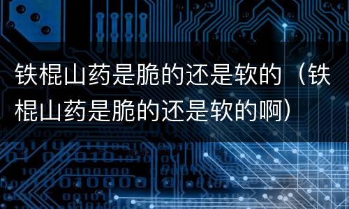 铁棍山药是脆的还是软的（铁棍山药是脆的还是软的啊）