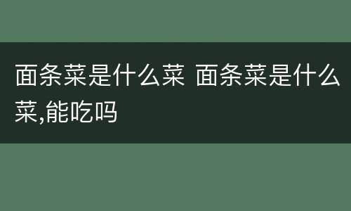 面条菜是什么菜 面条菜是什么菜,能吃吗