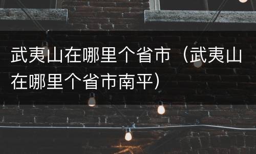 武夷山在哪里个省市（武夷山在哪里个省市南平）