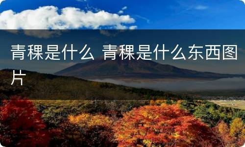 青稞是什么 青稞是什么东西图片