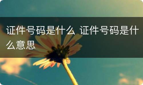 证件号码是什么 证件号码是什么意思