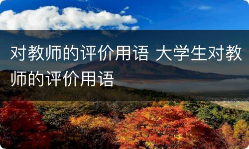 对教师的评价用语 大学生对教师的评价用语