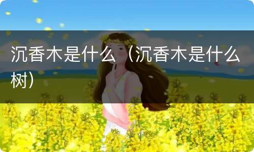 沉香木是什么（沉香木是什么树）