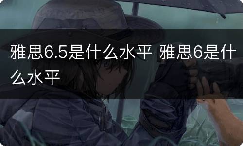 雅思6.5是什么水平 雅思6是什么水平