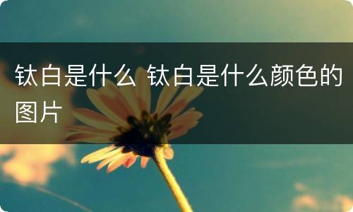 钛白是什么 钛白是什么颜色的图片