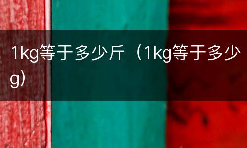 1kg等于多少斤（1kg等于多少g）