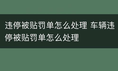 违停被贴罚单怎么处理 车辆违停被贴罚单怎么处理