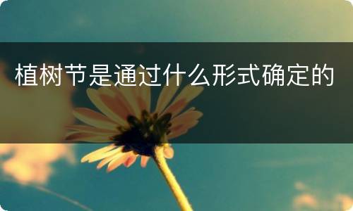 植树节是通过什么形式确定的