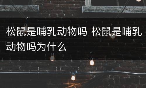 松鼠是哺乳动物吗 松鼠是哺乳动物吗为什么