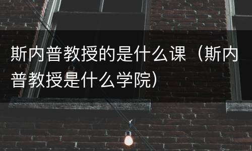 斯内普教授的是什么课（斯内普教授是什么学院）
