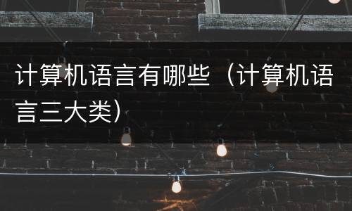 计算机语言有哪些（计算机语言三大类）