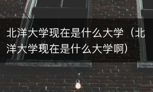 北洋大学现在是什么大学（北洋大学现在是什么大学啊）