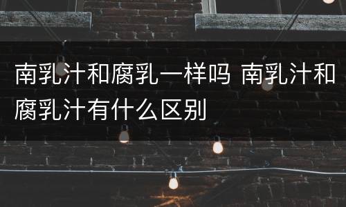 南乳汁和腐乳一样吗 南乳汁和腐乳汁有什么区别