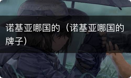 诺基亚哪国的（诺基亚哪国的牌子）