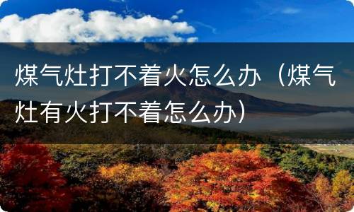 煤气灶打不着火怎么办（煤气灶有火打不着怎么办）