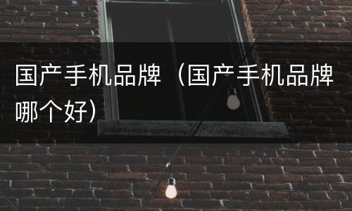 国产手机品牌（国产手机品牌哪个好）