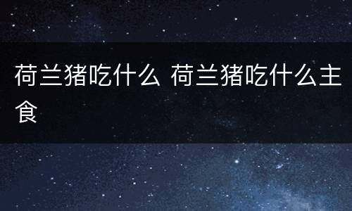 荷兰猪吃什么 荷兰猪吃什么主食