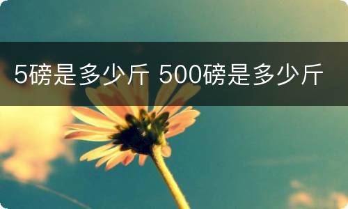 5磅是多少斤 500磅是多少斤