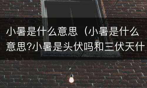 小暑是什么意思（小暑是什么意思?小暑是头伏吗和三伏天什么关系）