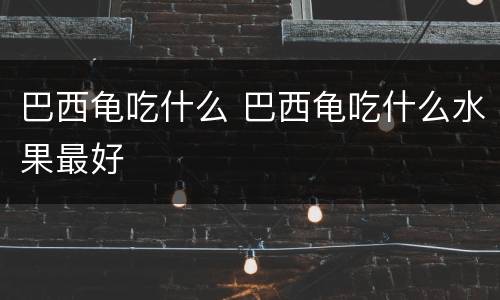 巴西龟吃什么 巴西龟吃什么水果最好