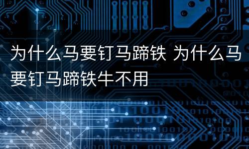 为什么马要钉马蹄铁 为什么马要钉马蹄铁牛不用