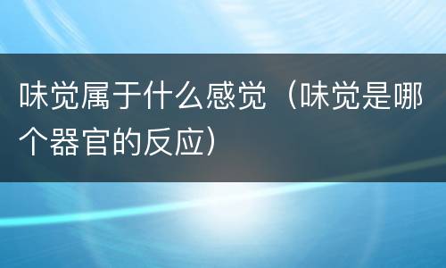 味觉属于什么感觉（味觉是哪个器官的反应）